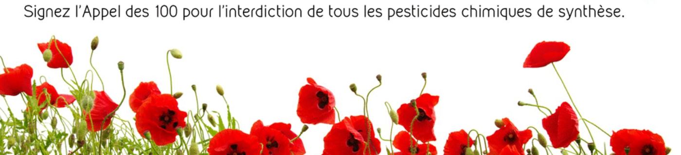 Les Coquelicombs – Qui sommes nous ?