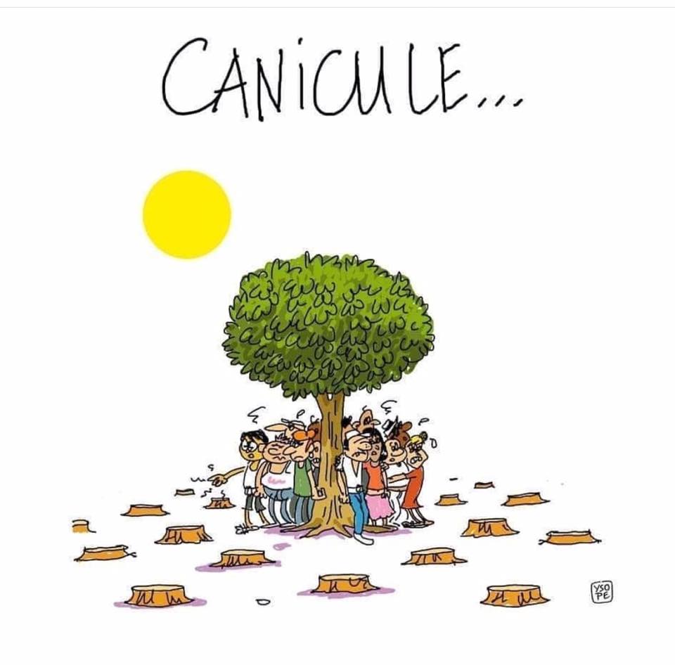 Quelques illustrations…