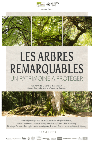 Film offert : Les arbres remarquables