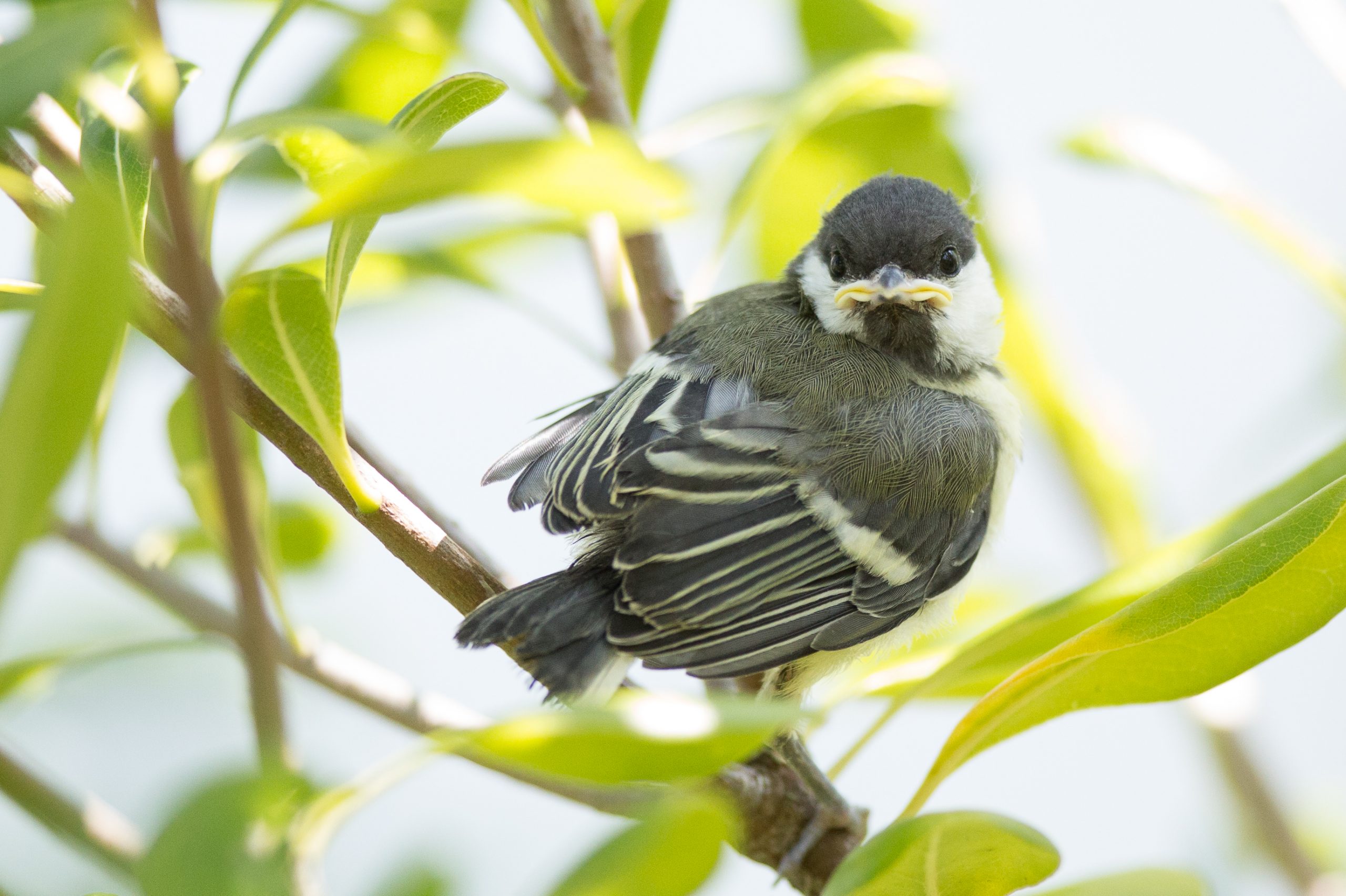 Bouffée d’air : visitez la galerie photos “Nature – Best Off 2019”