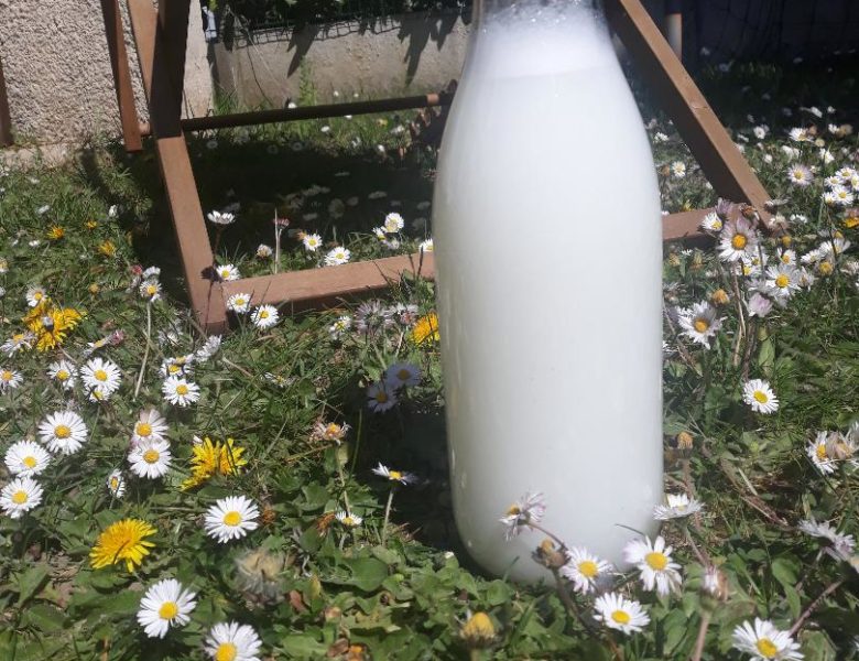 Et si on faisait sa lessive au savon de Marseille?