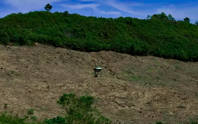 Corrélation entre épidémie et dégradation de l&rsquo;environnement – paru dans le Monde :