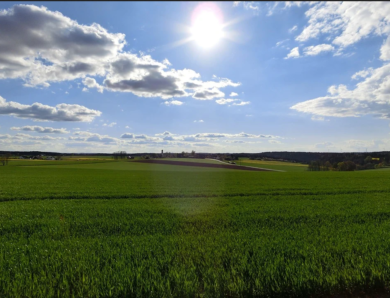 France Inter : agroécologie : une solution pour l’agriculture de demain
