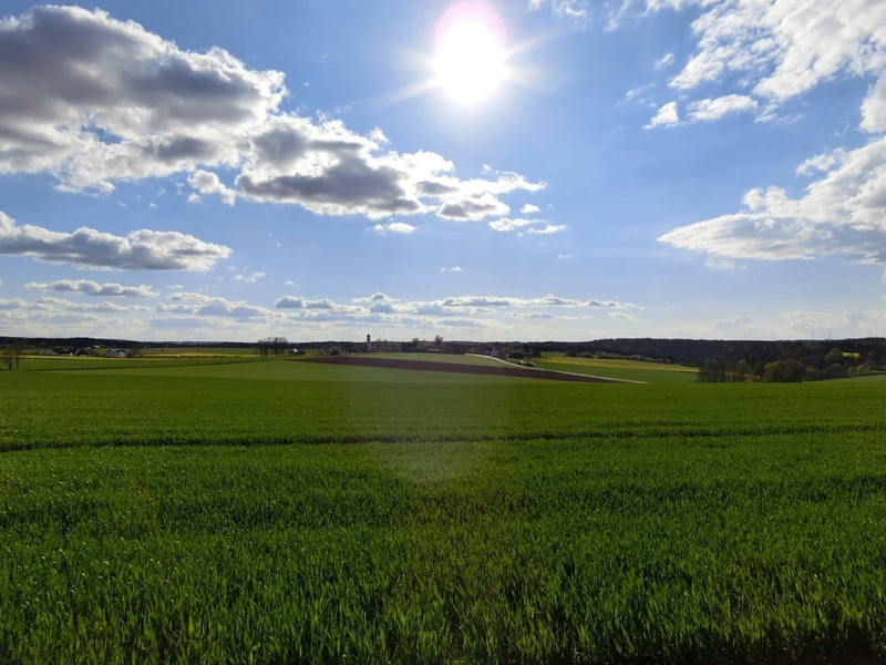 France Inter : agroécologie : une solution pour l’agriculture de demain