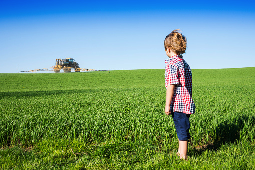 Conférence-débat “Pesticides et santé : le cas des néonicotinoïdes” en visioconf le 30/10/2020
