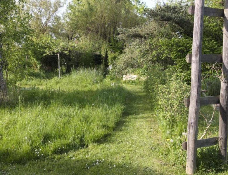Fête de la Nature 2021 – Porte ouverte refuge LPO à Combs La Ville