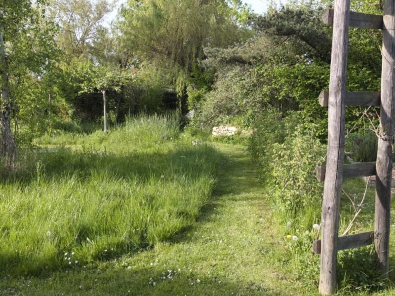 Fête de la Nature 2021 – Porte ouverte refuge LPO à Combs La Ville